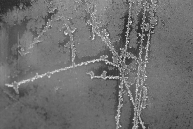 Fuck les J.O. (avatar)