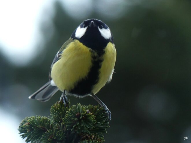 Le premier dimanche de l’année