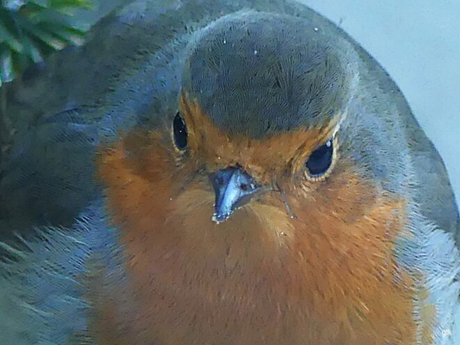 Les racistes n’ont pas de limite