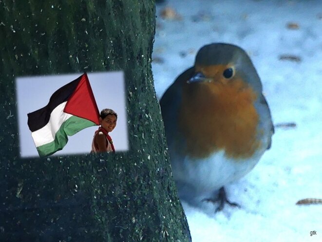 « Un médecin pour la paix »