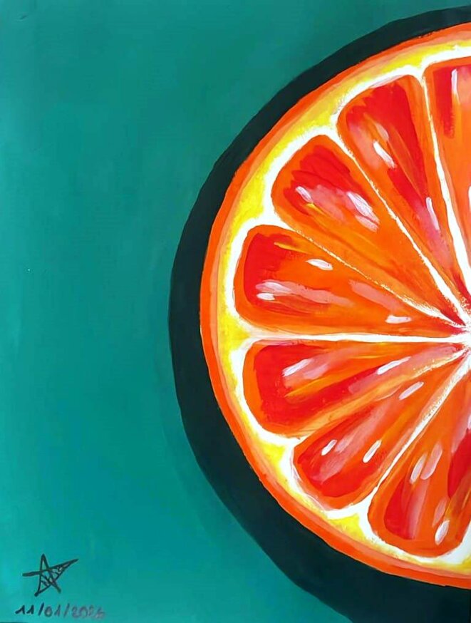 Les réalisés d'une des trois pensionnaires du Village-Monde