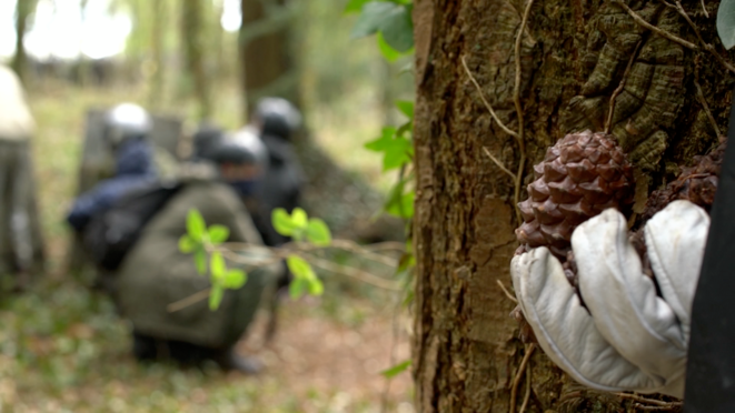 "Forêt rouge" de Laurie Lassalle