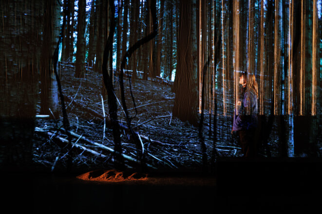 Que peut faire un vieux chêne contre une horde piaffante de pins Douglas ?