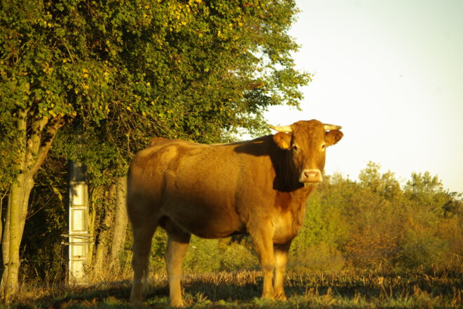 Une convergence toxique des luttes