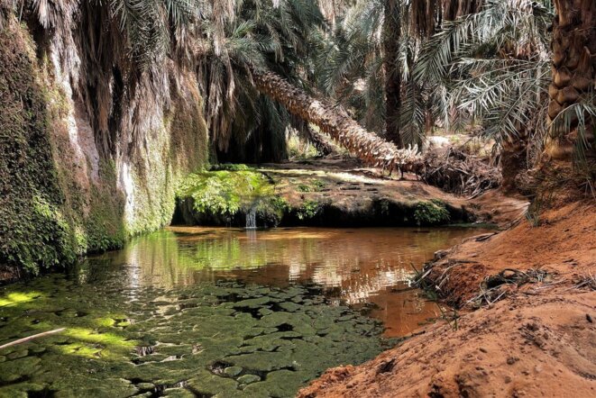 La ballade des maghrébins.