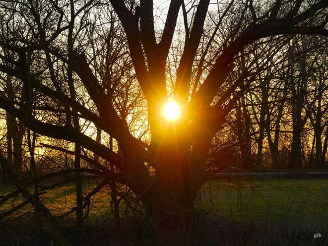 Ils ont sauvé la finale