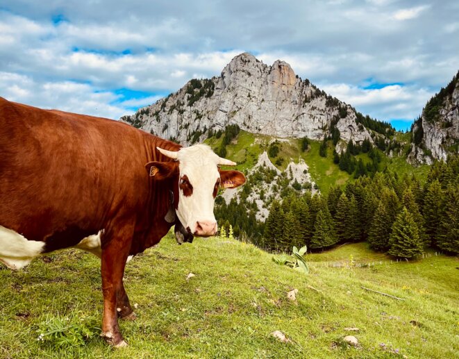 Étudier la métapolitique à l’échelle locale : un angle largement négligé
