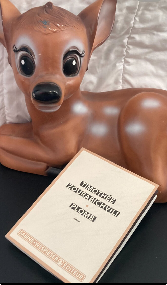 ‘Plomb’, de Timothée Zourabichvili : gifle littéraire, sombre berceuse