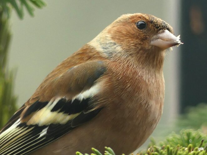 Quand on est vraiment de gauche