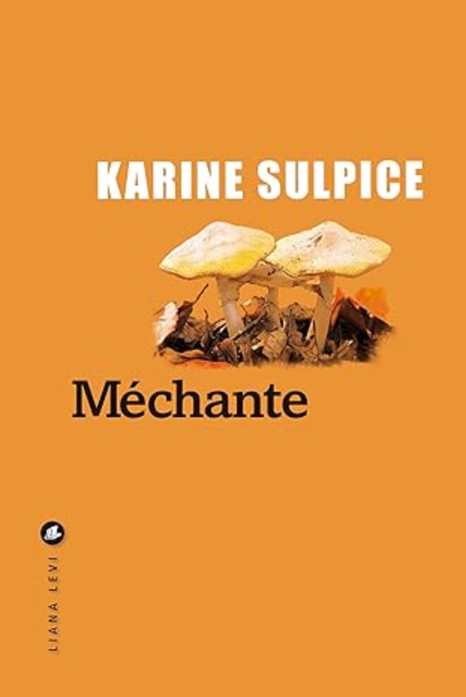 Méchante de Karine Sulpice