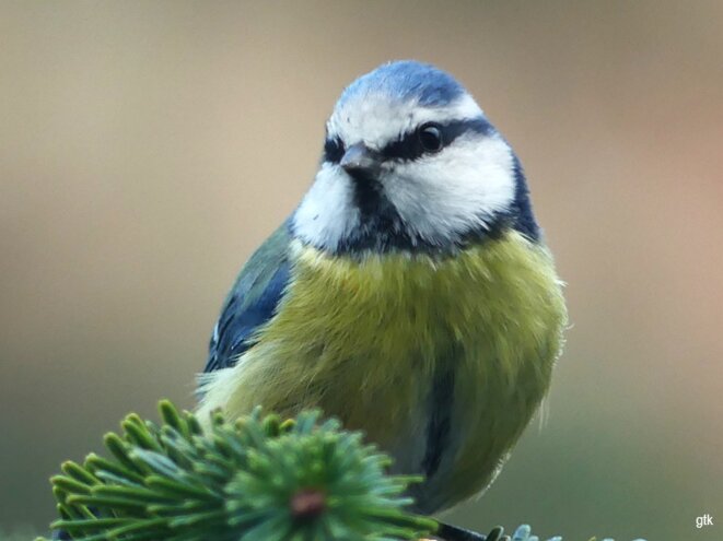 Il est inutile d’interdire