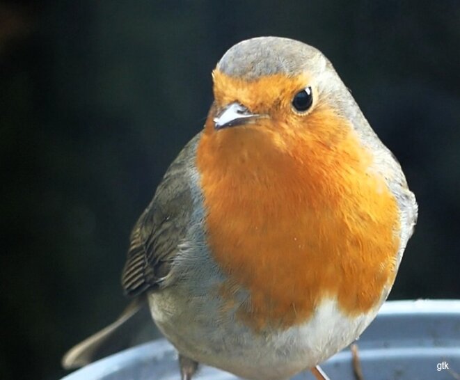 Les yeux dans les yeux