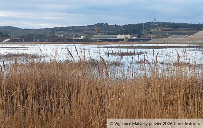 Usine ORANO de Malvési, des déchets radioactifs soumis aux intempéries