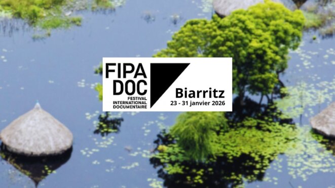 Palmarès du FIPADOC 2026