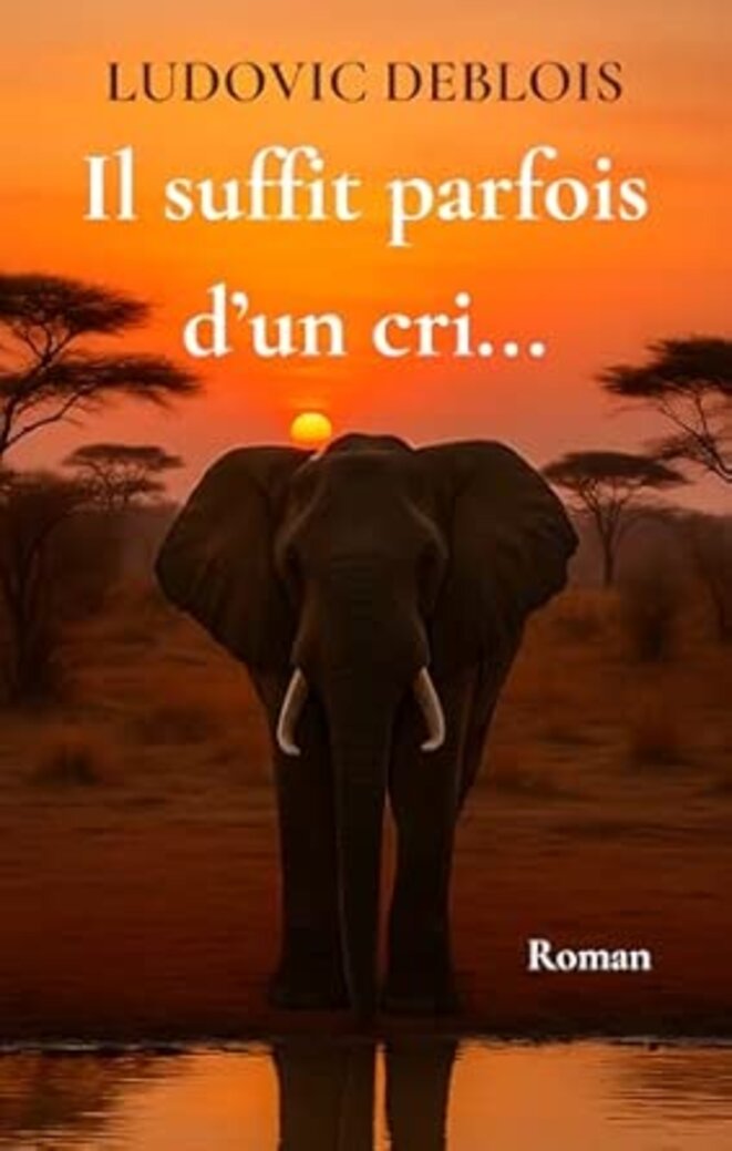 Il suffit parfois d'un cri ... de Ludovic Deblois