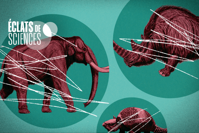 La disparition des grands mammifères, écocide originel?