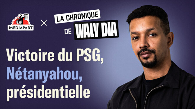 La chronique de Waly Dia. «La France protège mieux le mobili