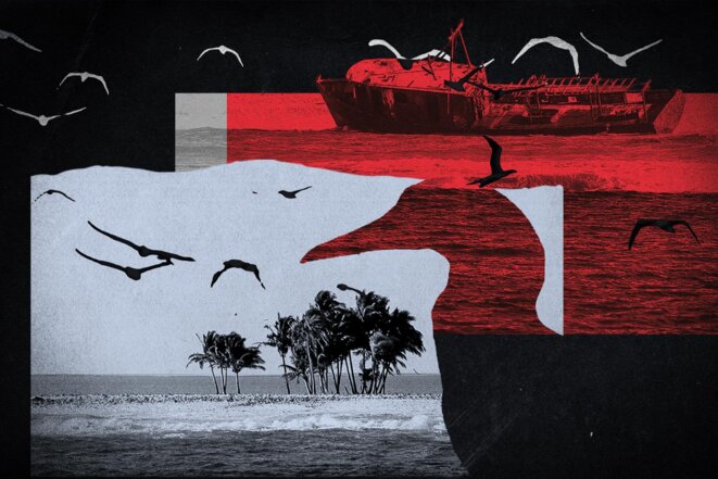 Ces rats naufragés sur des îles isolées qui menacent les colonies doiseaux marins Débarqués probablement après des échouages il y a 25 ans, les rats noirs ont proliféré sur lîle de Clipperton, à 1 000 kilomètres du Mexique dans le Pacifique. Leurs prédations menacent la biodiversité exceptionnelle du site, dont des colonies doiseaux marins. Un problème récurrent sur les îles isolées dont la solution, à la logistique compliquée, est léradication des rongeurs.