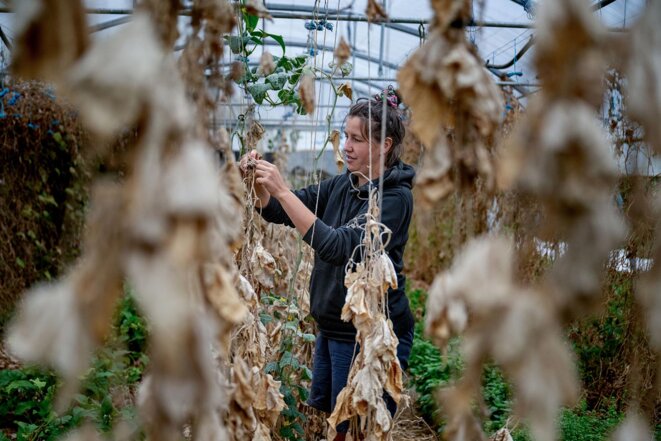 Plan sécheresse: les petits maraîchers dénoncent des aides «déconnectées» de leur réalité