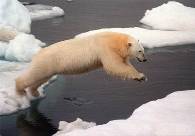 © Greenpeace © Greenpeace