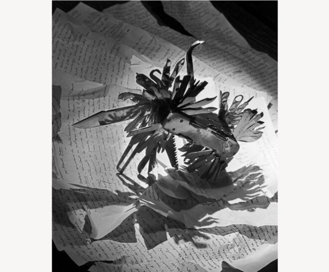 Rediscovering the lost work of Émile Savitry Mediapart