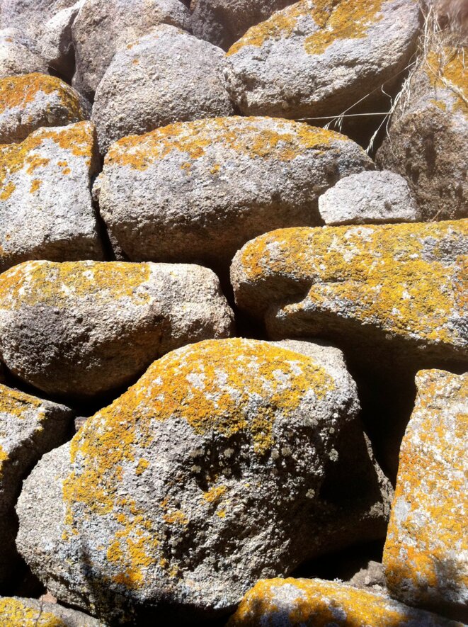 Mystérieux murs en Méditerranée