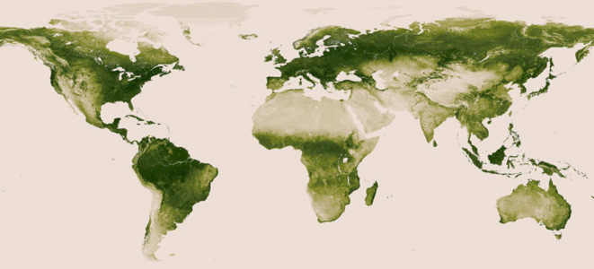 Carte du monde Carte du monde