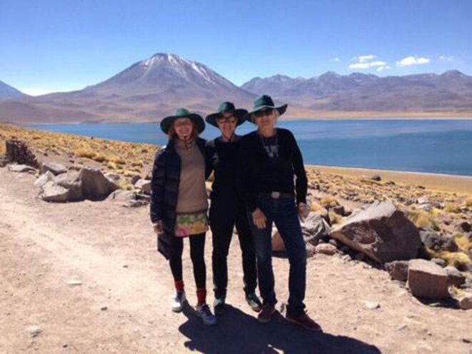 Les bestioles d'Atacama