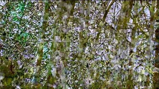 Duo impromptu avec Jacques Perconte samedi après-midi