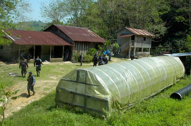 El primer laboratorio de cocaina descubierto por la policía hondureña, cerca de San Pedro Sula. © Reuters El primer laboratorio de cocaina descubierto por la policía hondureña, cerca de San Pedro Sula. © Reuters