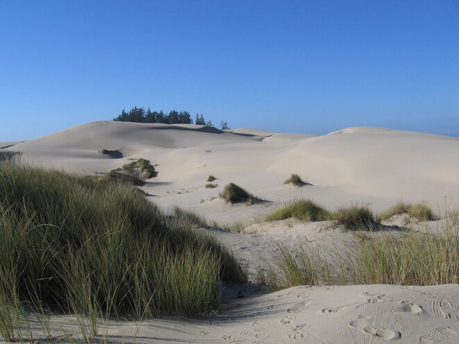 Les dunes de l'Oregon, qui ont inspiré Frank Herbert © Rebecca Kennison Les dunes de l'Oregon, qui ont inspiré Frank Herbert © Rebecca Kennison