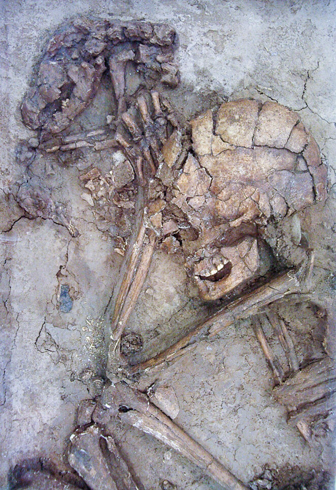 Squelettes d'un humain et d'un chien vieux de 12 000 ans retrouvés en Israël © The Upper Galilee Museum of Prehistory Squelettes d'un humain et d'un chien vieux de 12 000 ans retrouvés en Israël © The Upper Galilee Museum of Prehistory
