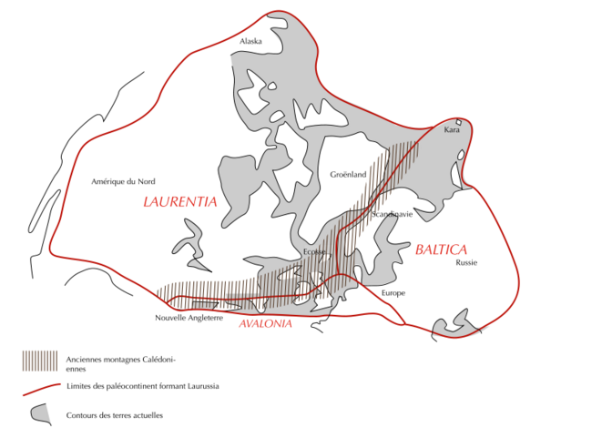 Avalonia au sein du continent Laurissia au Dévonien © Thomas Robert Avalonia au sein du continent Laurissia au Dévonien © Thomas Robert