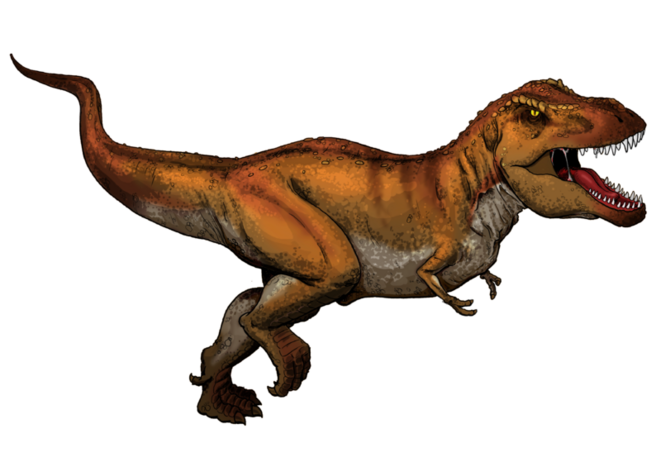 Tyrannosaurus rex © myfavoritedinosaur.com Tyrannosaurus rex © myfavoritedinosaur.com