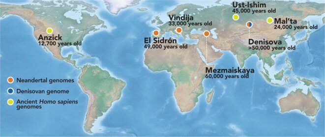 Carte des plus anciens génomes séquencés d'hommes modernes, de Néandertaliens et de Denisovans © Bence Viola Carte des plus anciens génomes séquencés d'hommes modernes, de Néandertaliens et de Denisovans © Bence Viola