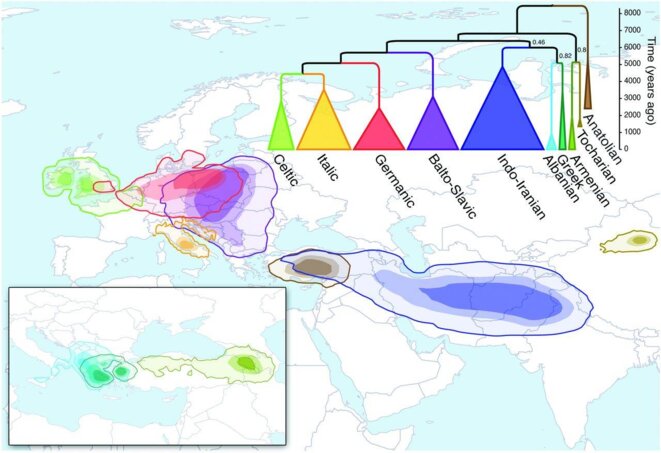 Carte représentant les ramifications des langues indo-européennes © Science/Atkinson Carte représentant les ramifications des langues indo-européennes © Science/Atkinson