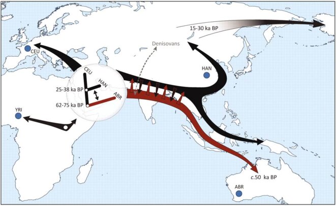 Schéma des deux vagues de migration des premiers hommes modernes © Science Schéma des deux vagues de migration des premiers hommes modernes © Science