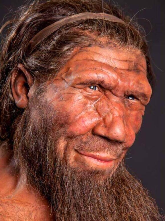 Vue artistique d'un Néandertalien © Museum d'histoire naturelle de Londres Vue artistique d'un Néandertalien © Museum d'histoire naturelle de Londres