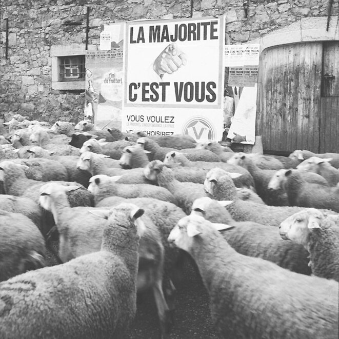 © Photo René Maltête © Photo René Maltête