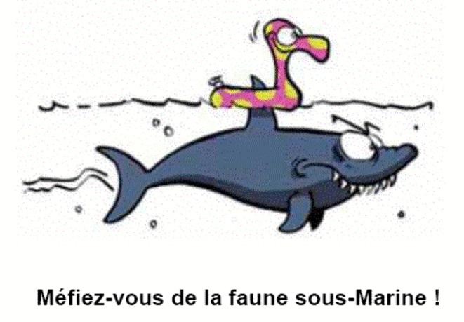0_Dessin_2012_s03_Faune_sousmarine.gif 0_Dessin_2012_s03_Faune_sousmarine.gif