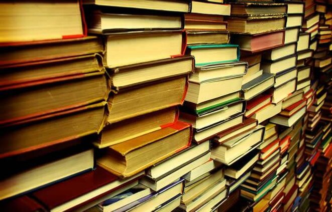 Les critiques de la Revue du Projet (N°18)