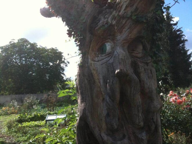 Agriculture urbaine outil de lien social ou projet de société ? (par Anne Martin*)