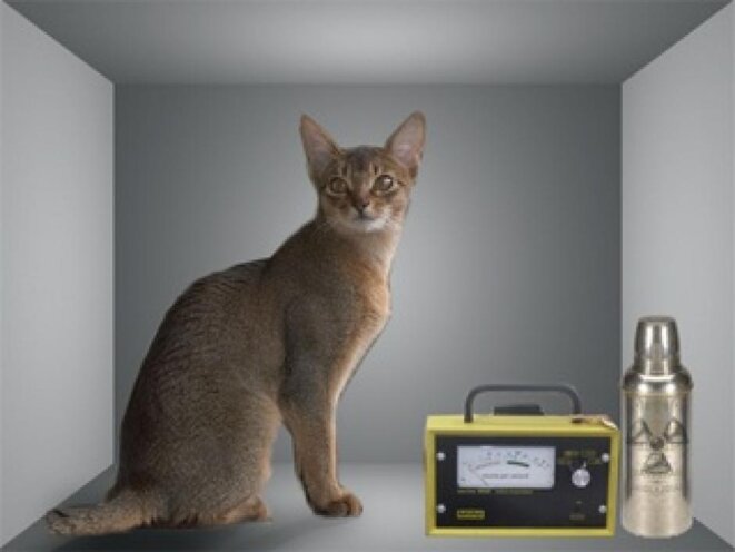 Le piège à photons : une affaire de chats (par Olivier Gebuhrer*)