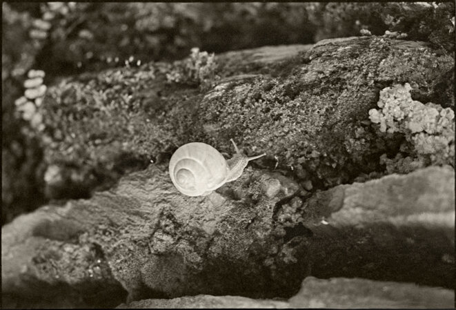 Conques - Aveyron -1972 © Gilles Walusinski Conques - Aveyron -1972 © Gilles Walusinski