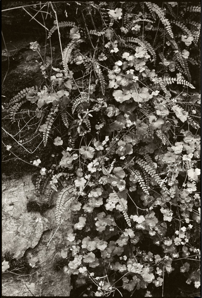 Conques - Aveyron -1972 © Gilles Walusinski Conques - Aveyron -1972 © Gilles Walusinski