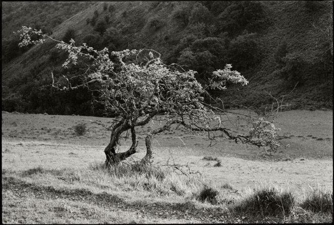Conques - Aveyron -1972 © Gilles Walusinski Conques - Aveyron -1972 © Gilles Walusinski