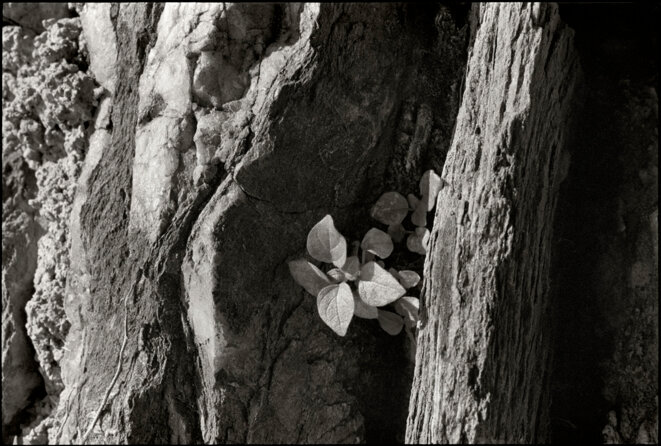 Conques - Aveyron -1972 © Gilles Walusinski Conques - Aveyron -1972 © Gilles Walusinski