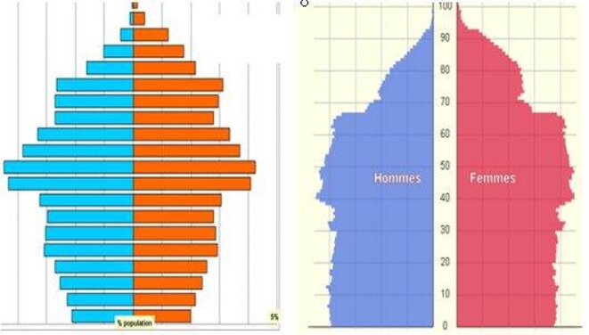 Comparaison pyramides des âges Allemagne - France Comparaison pyramides des âges Allemagne - France