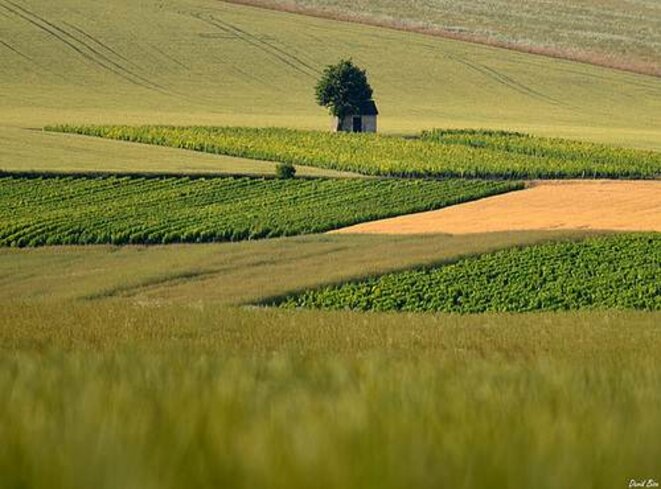 Je me souviens de « mes  colonies … »