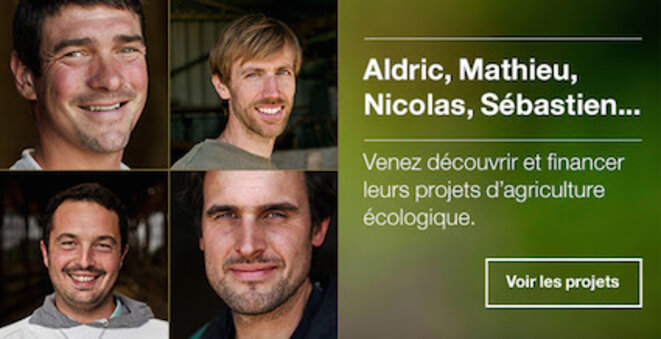 Du bonheur vert à planter dans les champs